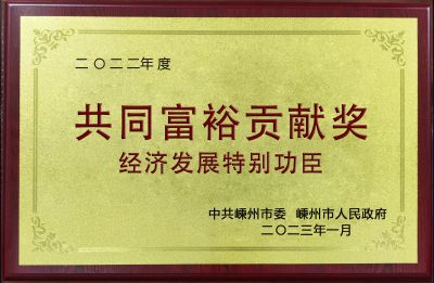 2022年度共同富裕贡献奖积极发展特别功臣