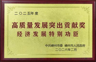 2025年经济发展特别功臣奖