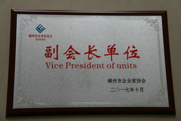 2017 Vice President Unit